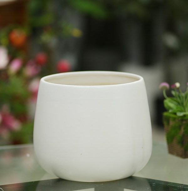 Chậu Sứ Để Bàn Hạt dẻ