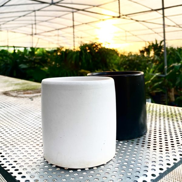 Chậu 02