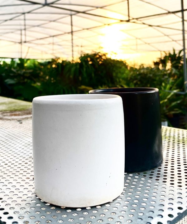 Chậu 02