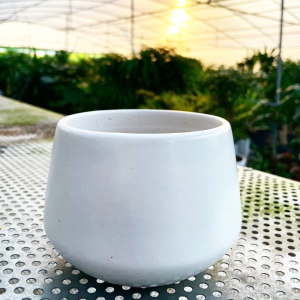 Chậu 01