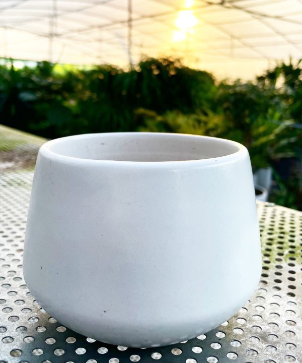 Chậu 01