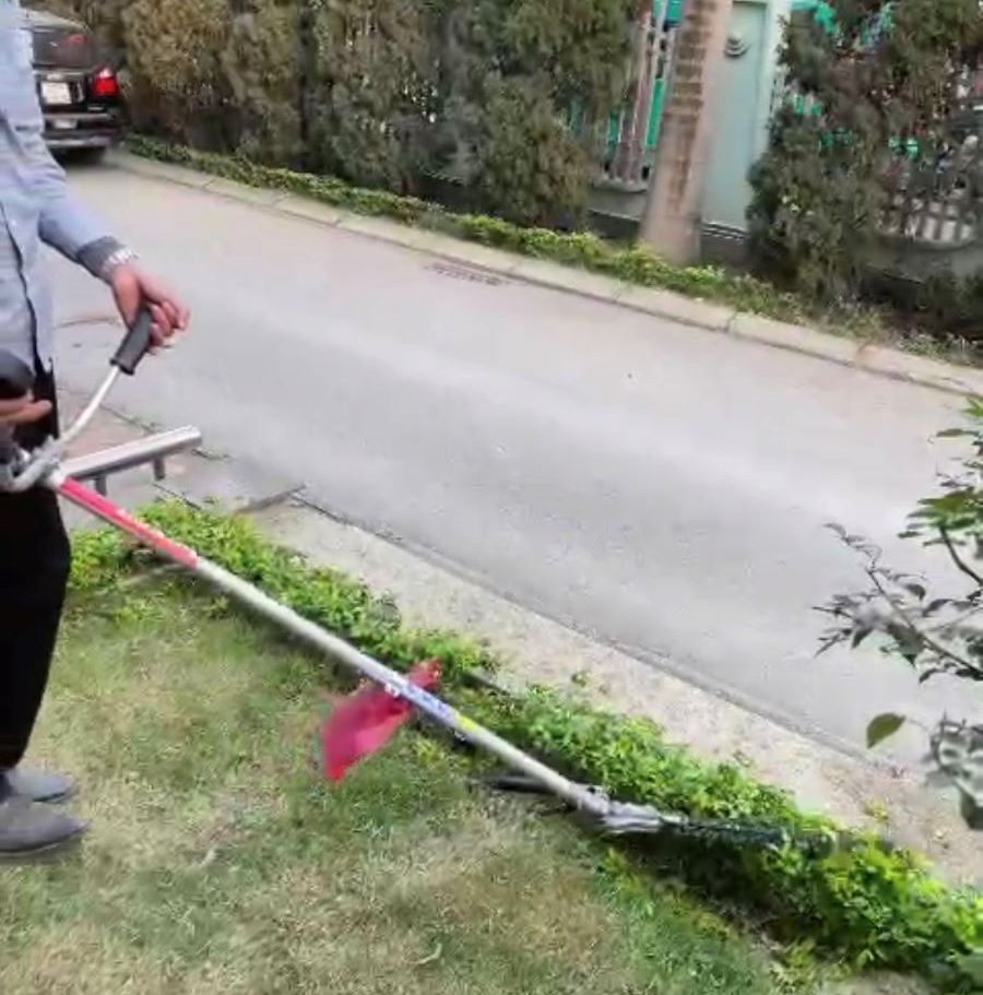 Đơn vị cắt tỉa cây xanh tại Đống Đa -  uy tín, thợ kỹ