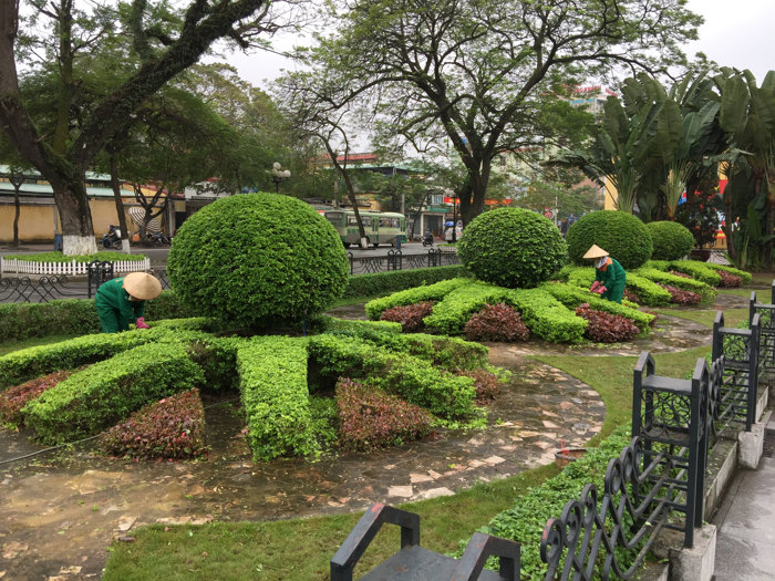 Dịch vụ cắt tỉa cây xanh đáng tin cậy ở Từ Liêm