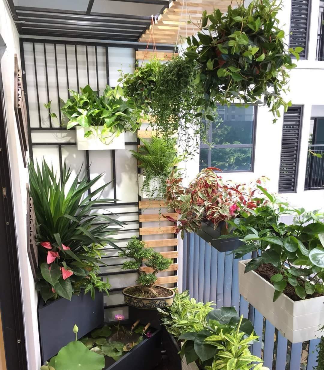 Chăm Sóc Cây Xanh ở Hà Đông - Uy Tín, Tận Tâm