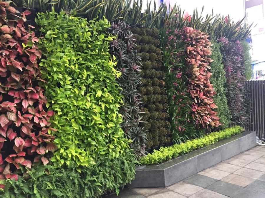 Dịch vụ chăm sóc cảnh quan ở Hà Nội đáng tin cậy