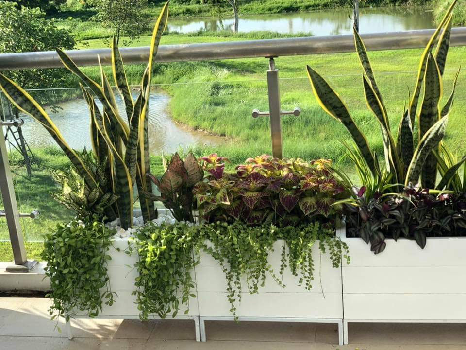 Công ty thi công sân vườn ở Cầu Giấy chuyên nghiệp