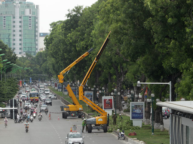Đơn vị chuyên cắt tỉa cây xanh ở Hai Bà Trưng