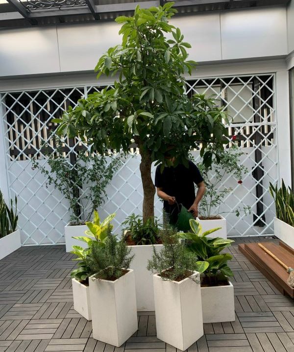 Dịch vụ thi công cảnh quan sân vườn tại Hai Bà Trưng