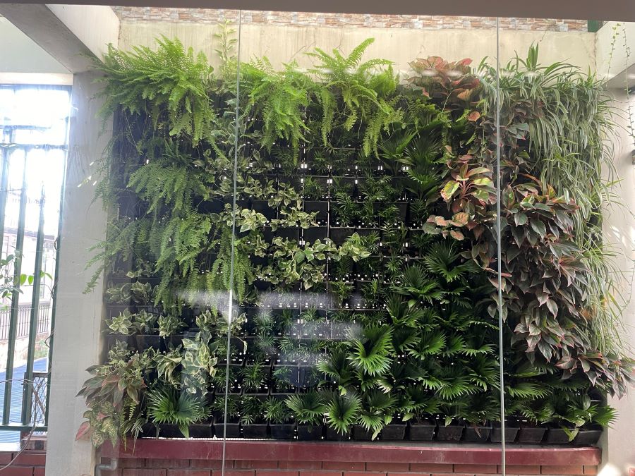 Thiết kế sân vườn tại Hoàn Kiếm đẹp, mới lạ