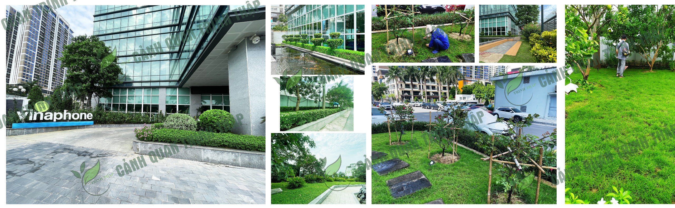 Banner công ty cây xanh tại Hà Nội - Trịnh Thập