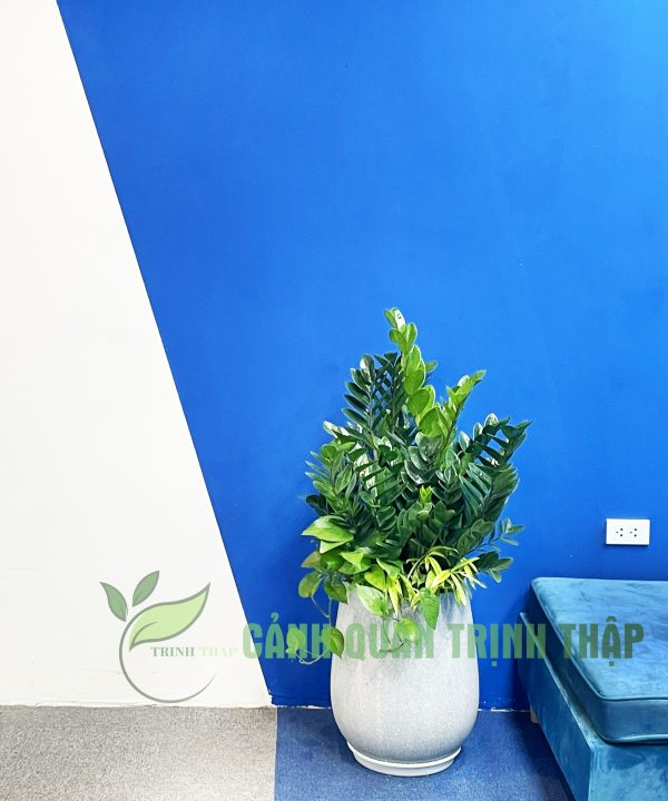 kim-tien-kim-phat-tai