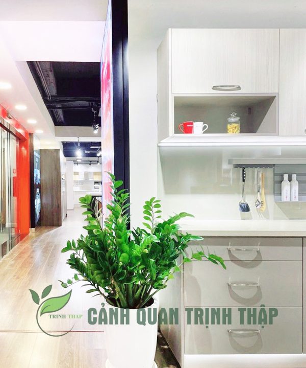 kim-tien-kim-phat-tai