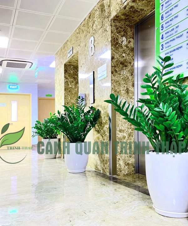 kim-tien-kim-phat-tai