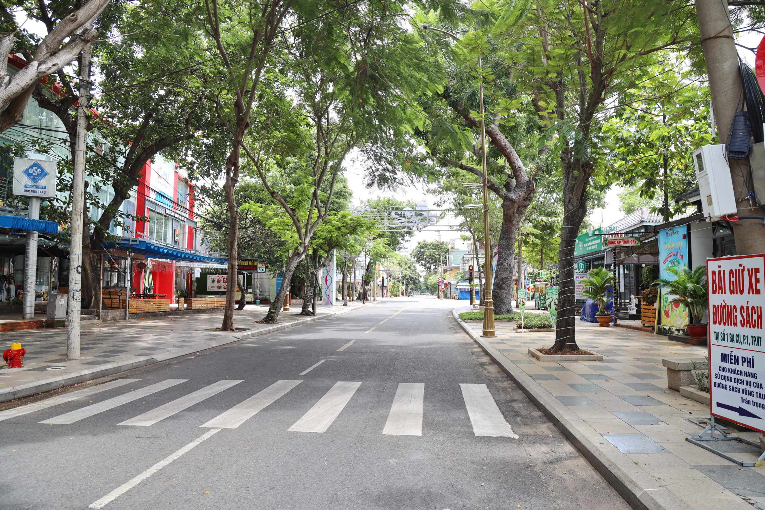 Dịch vụ cho thuê cây xanh văn phòng tại Gia Lâm uy tín