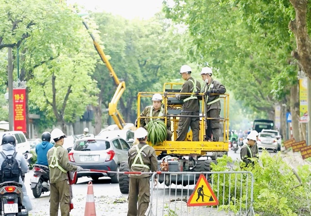 Cắt tỉa cây xanh tại Đan Phượng giá rẻ