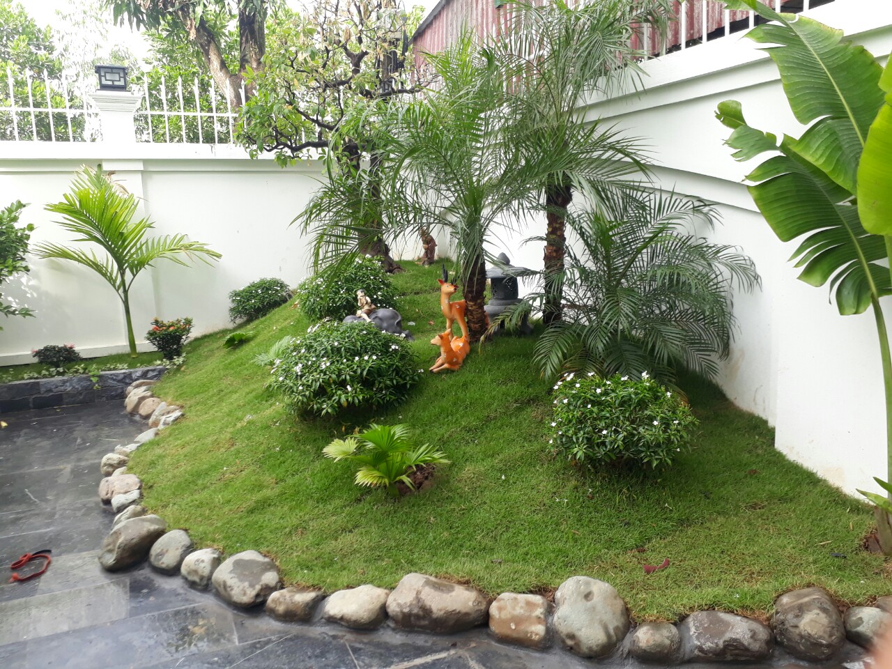 Thiết kế tiểu cảnh sân vườn tại Đan Phượng