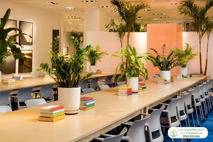 Đơn vị chăm sóc bảo dưỡng cây xanh tại Mê Linh