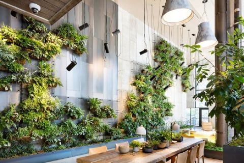 Thi công tiểu cảnh sân vườn tại Phú Xuyên chuyên nghiệp