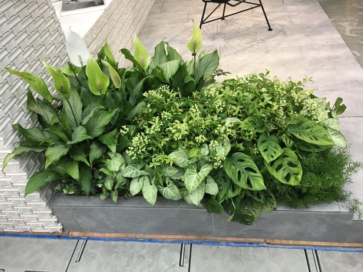 Đơn vị thi công tiểu cảnh sân vườn tại Phúc Thọ nhanh chóng, đẹp mắt