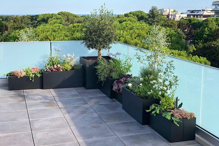 Nơi chăm sóc bảo dưỡng cây xanh tại Sóc Sơn hàng đầu