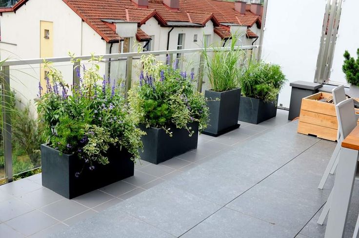 Mua bán cây cảnh tại Sóc Sơn – Trịnh Thập giá tốt nhất