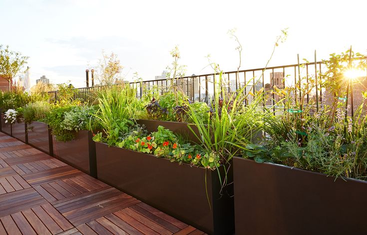 Dịch vụ chăm sóc bảo dưỡng cây xanh tại Thạch Thất