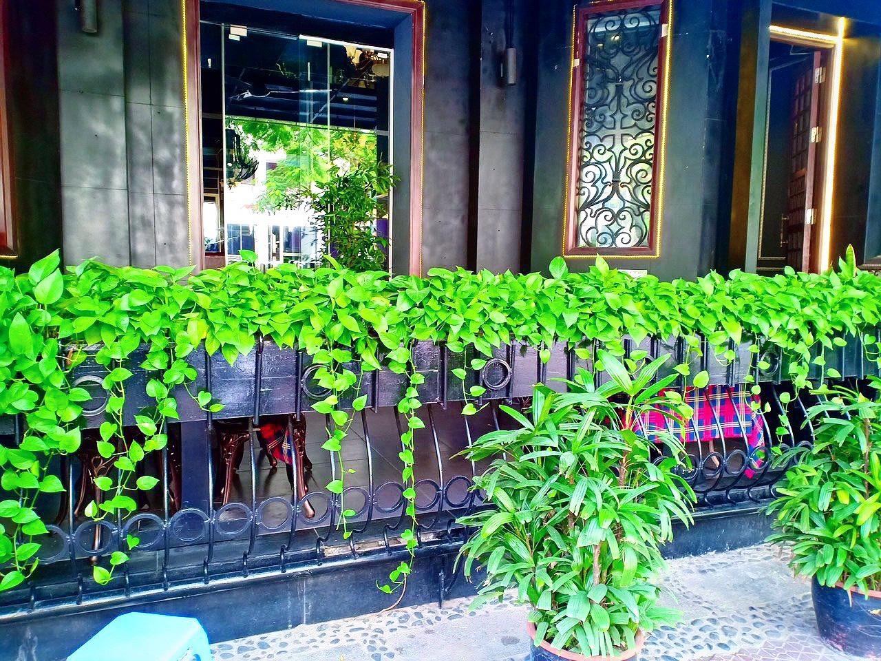 Nên thuê cây cảnh văn phòng