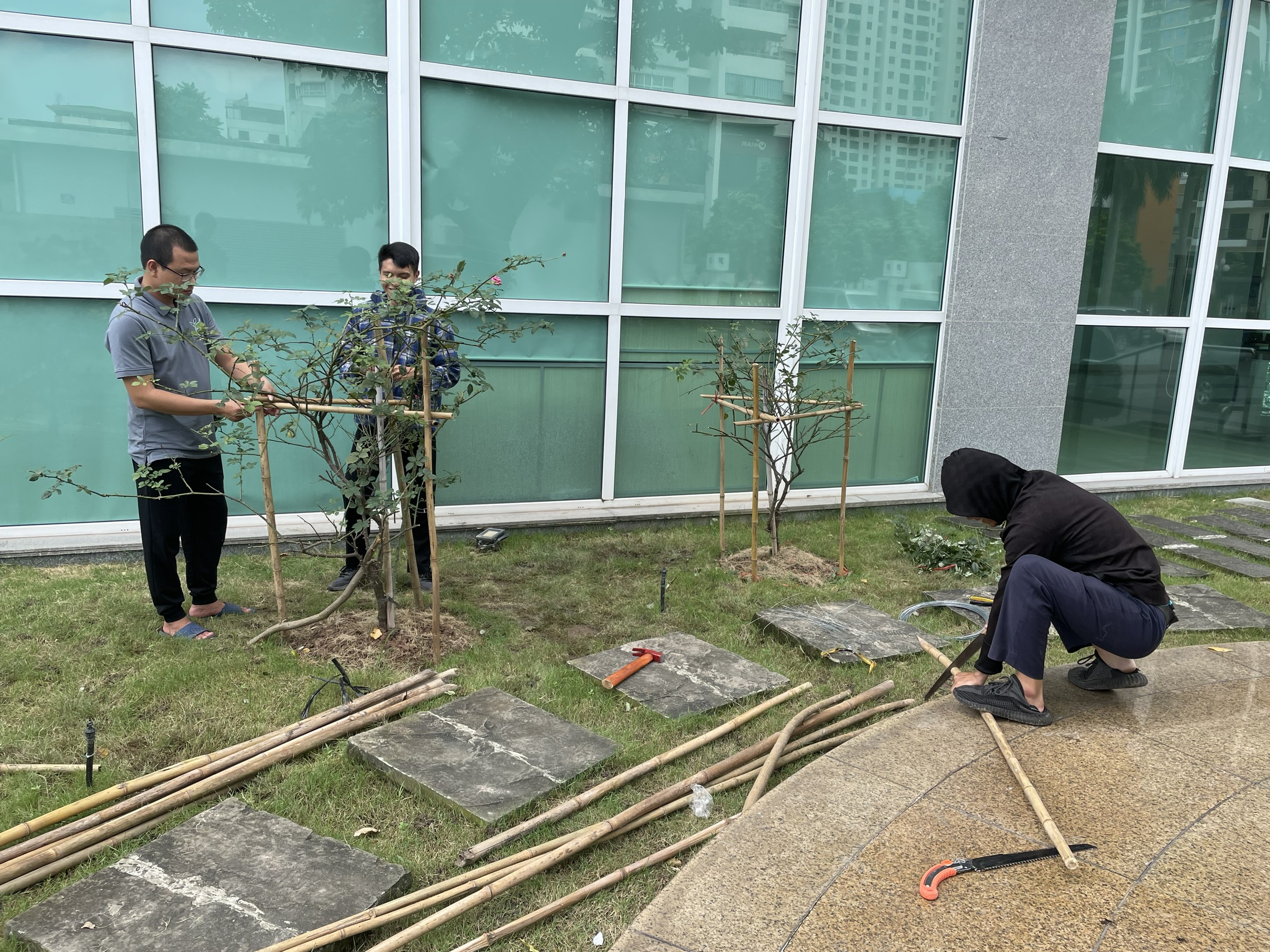 Bón phân và dinh dưỡng