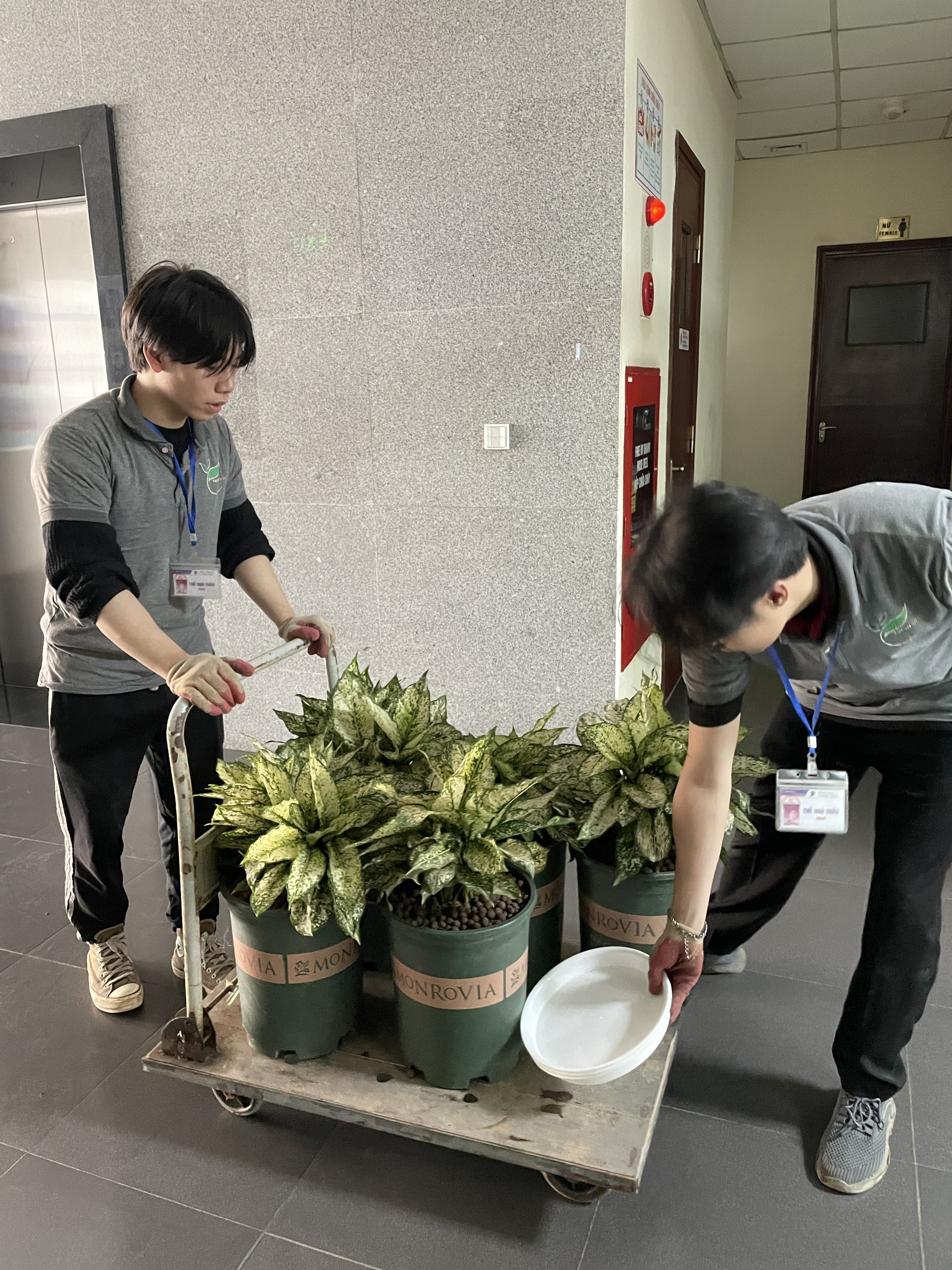 Kiểm tra và phòng trừ sâu bệnh