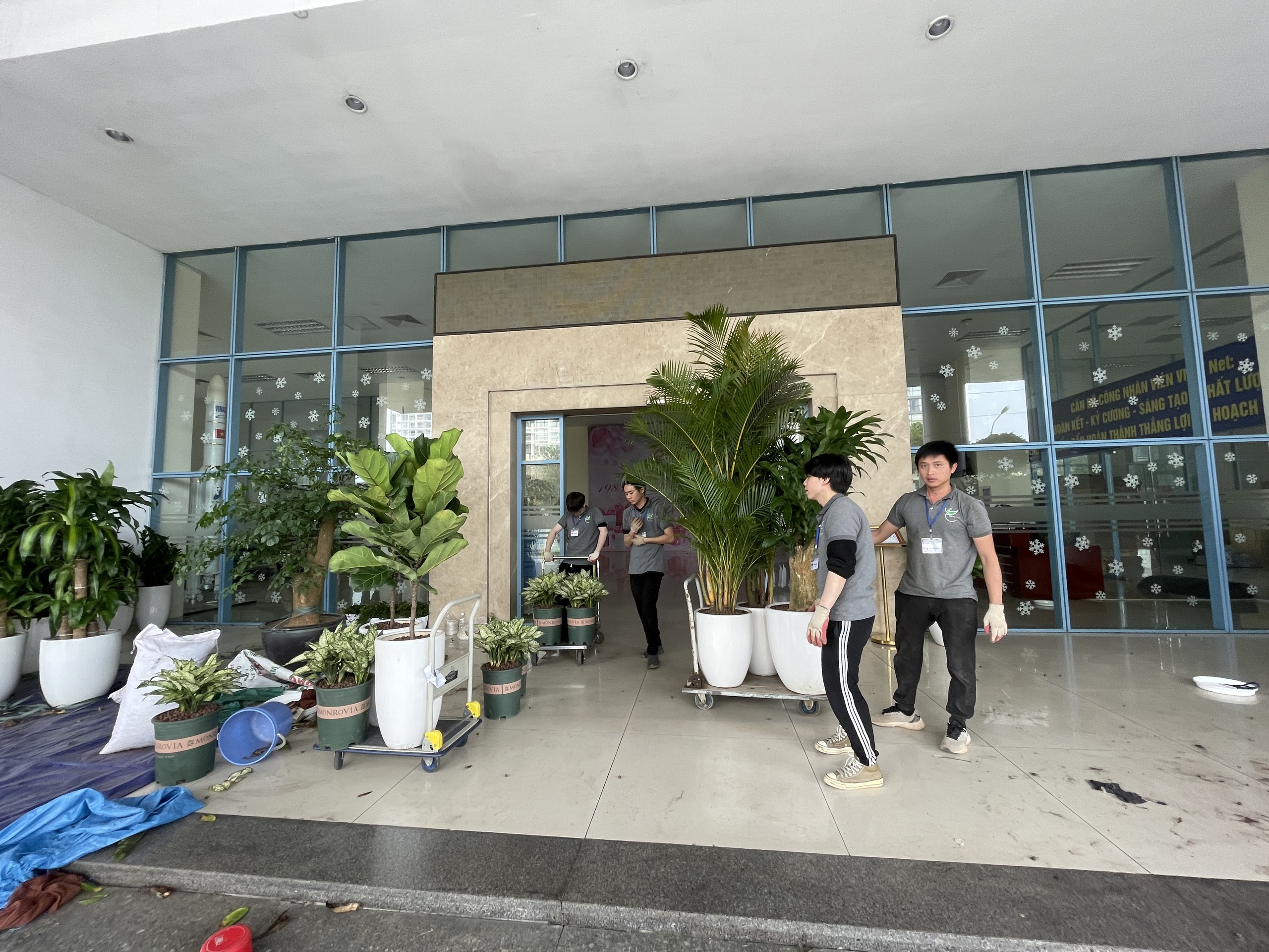 Đảm bảo dịch vụ chăm sóc cây