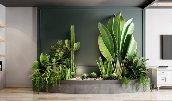 Dịch vụ cho thuê cây xanh văn phòng tại Ứng Hoà của Trịnh Thập