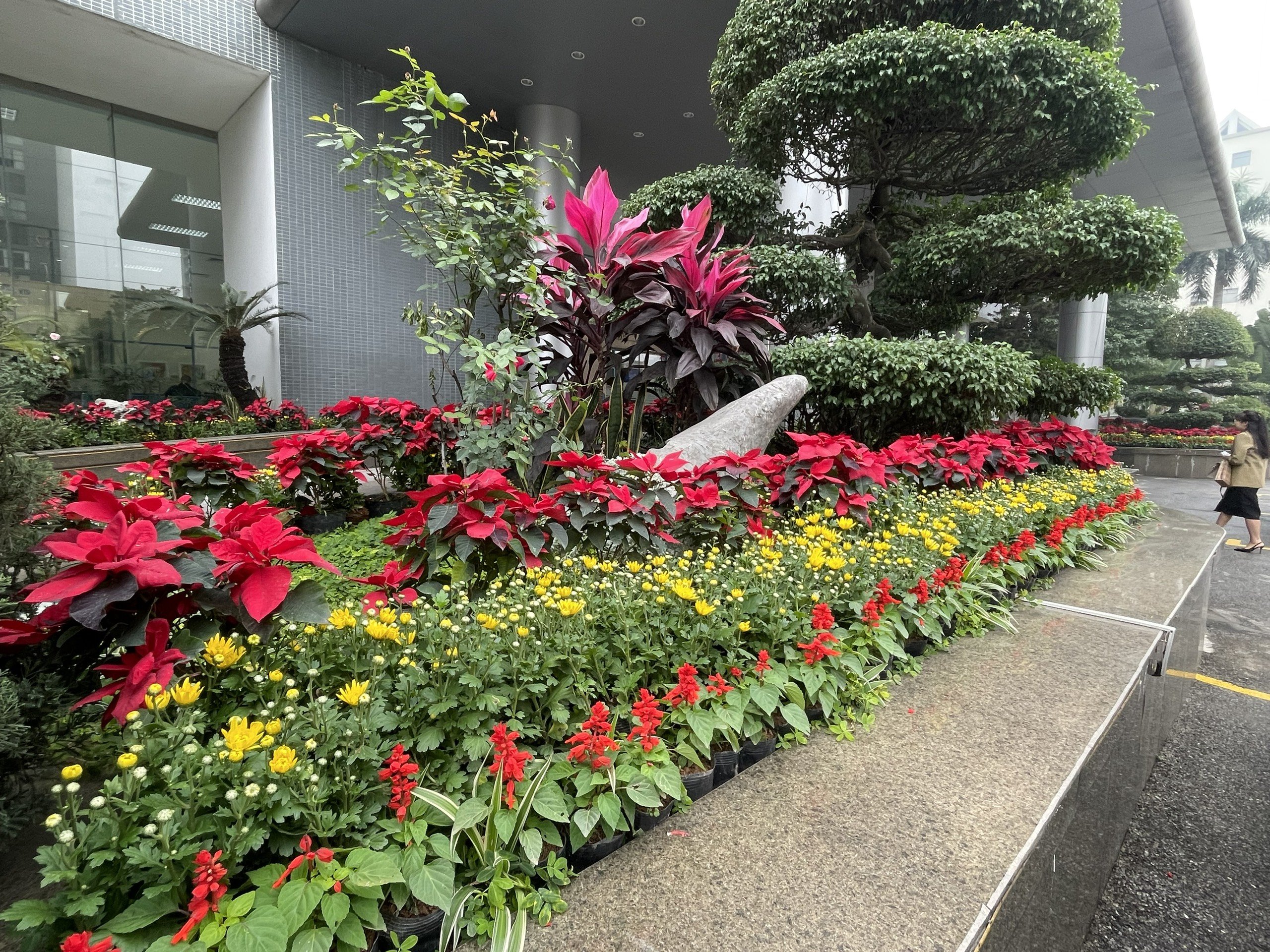 Quy trình thiết kế thi công sân vườn tại Hà Nội của Trịnh Thập Quy trình thiết kế thi công sân vườn tại Hà Nội của Trịnh Thập