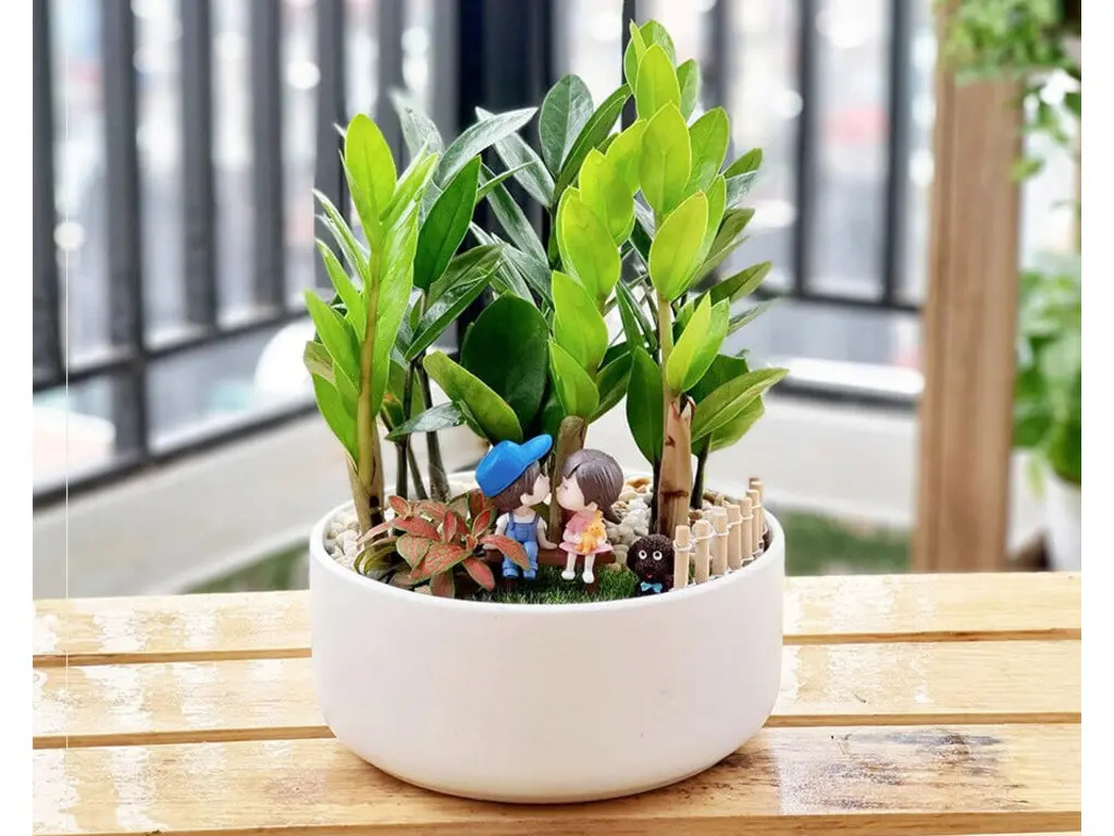 cây phong thủy theo tuổi và mệnh