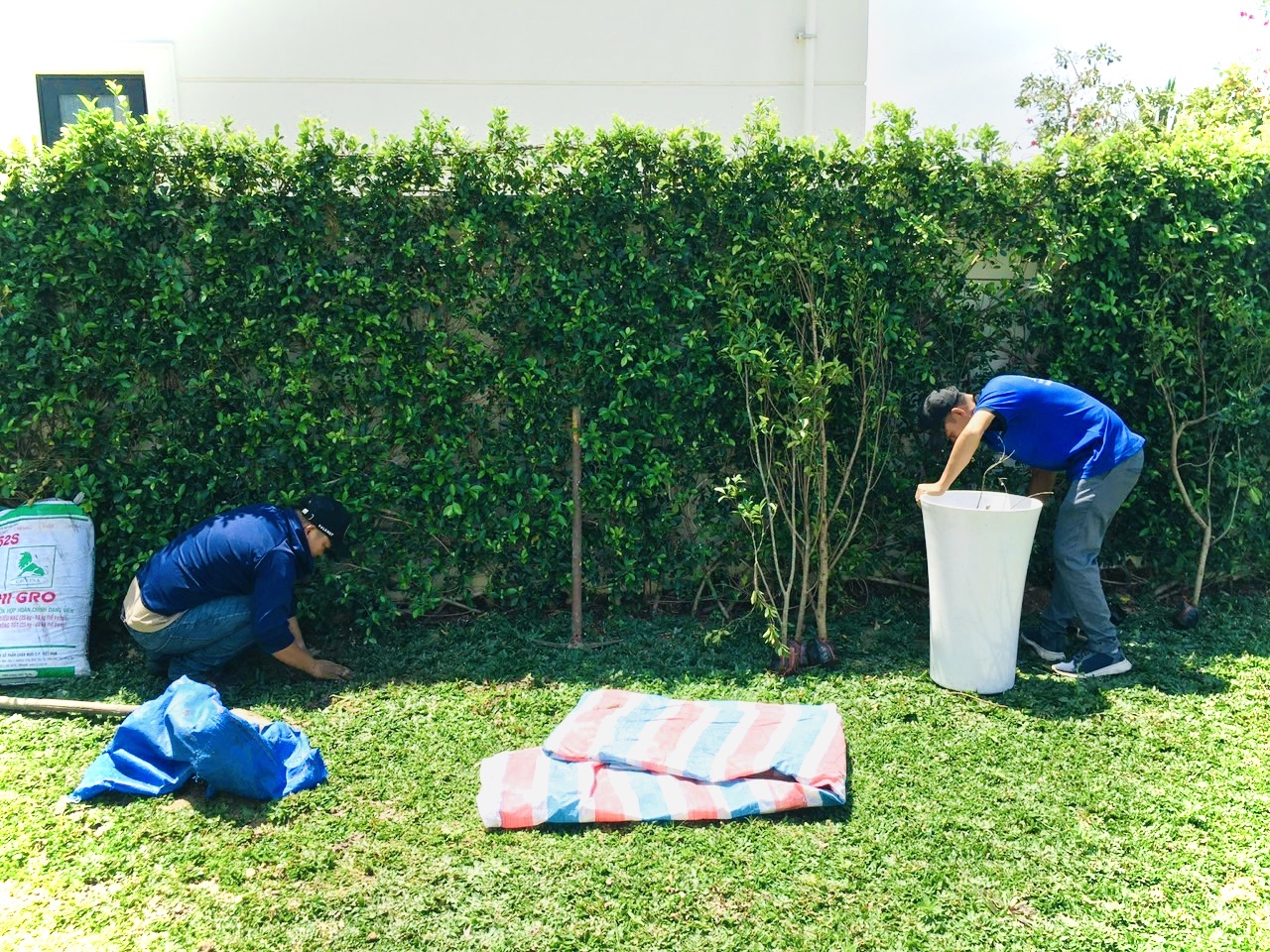 5 lợi ích khi sử dụng dịch vụ chăm sóc cây 5 lợi ích khi sử dụng dịch vụ chăm sóc cây