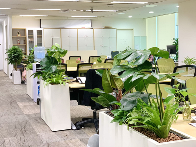 Ứng dụng phổ biến của cây xanh trong không gian máy lạnh