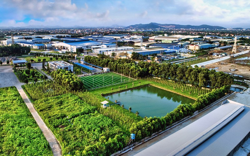 cây xanh trở thành yếu tố xây dựng văn hóa doanh nghiệp