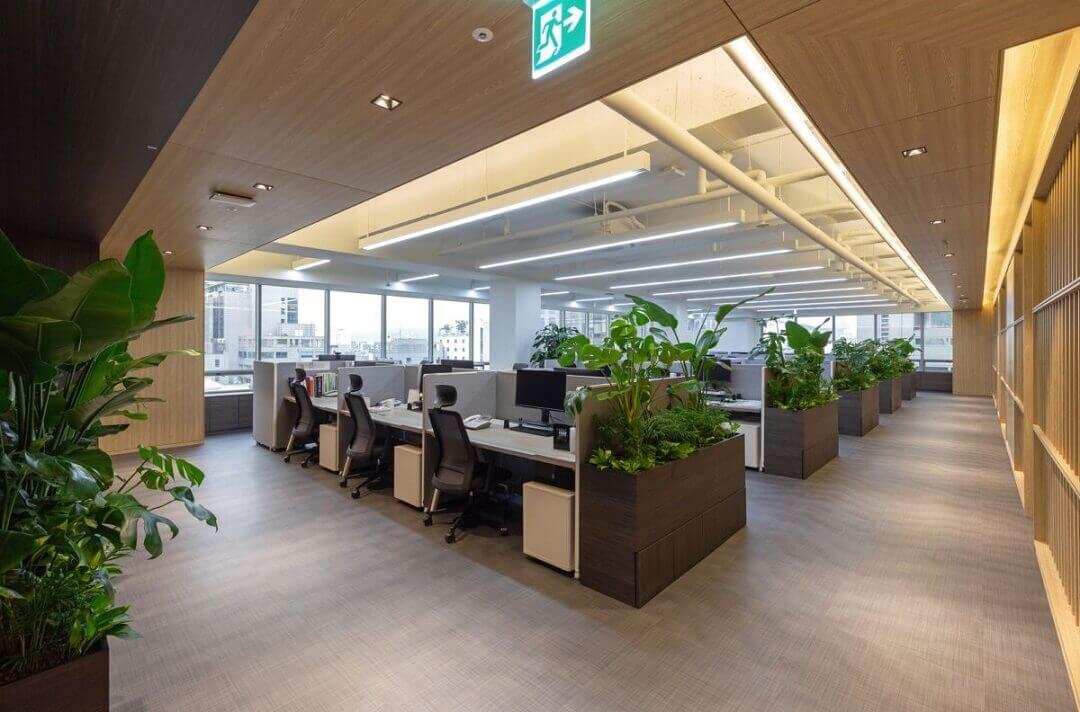 Bí quyết chọn cây