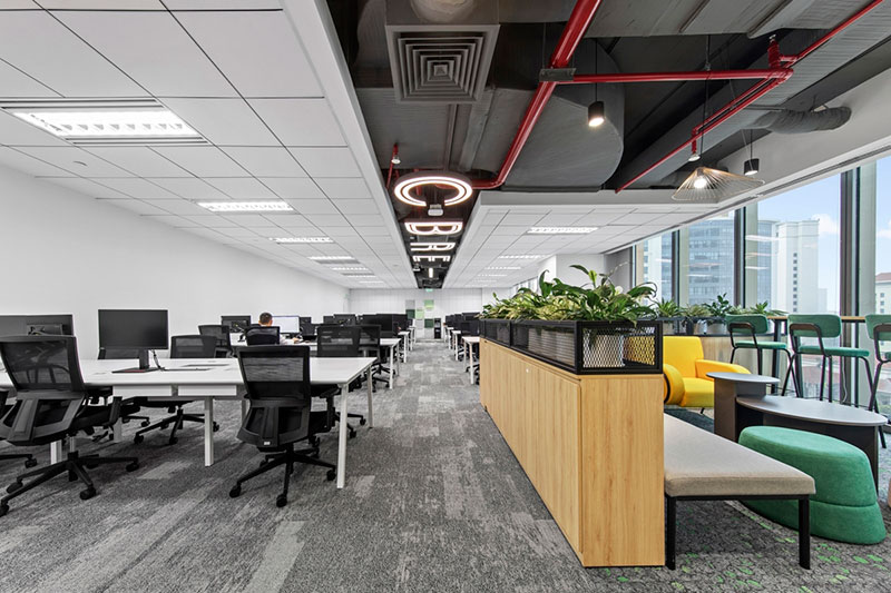 Quy trình cho thuê cây