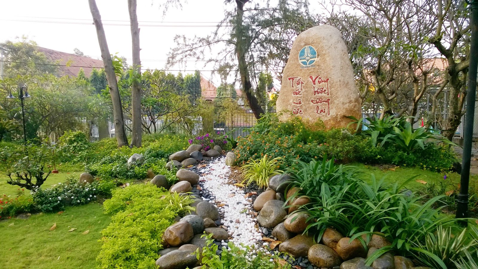 Xu hướng cây cảnh