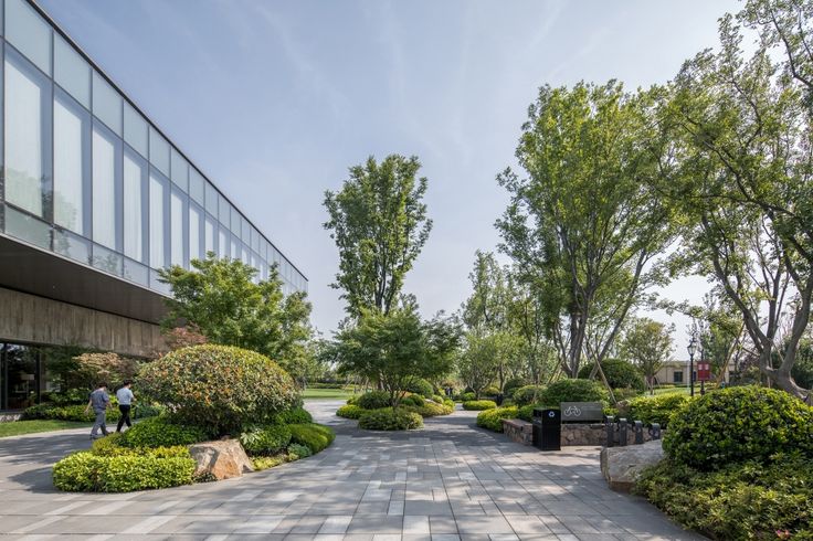 Bảo dưỡng cây xanh định kỳ