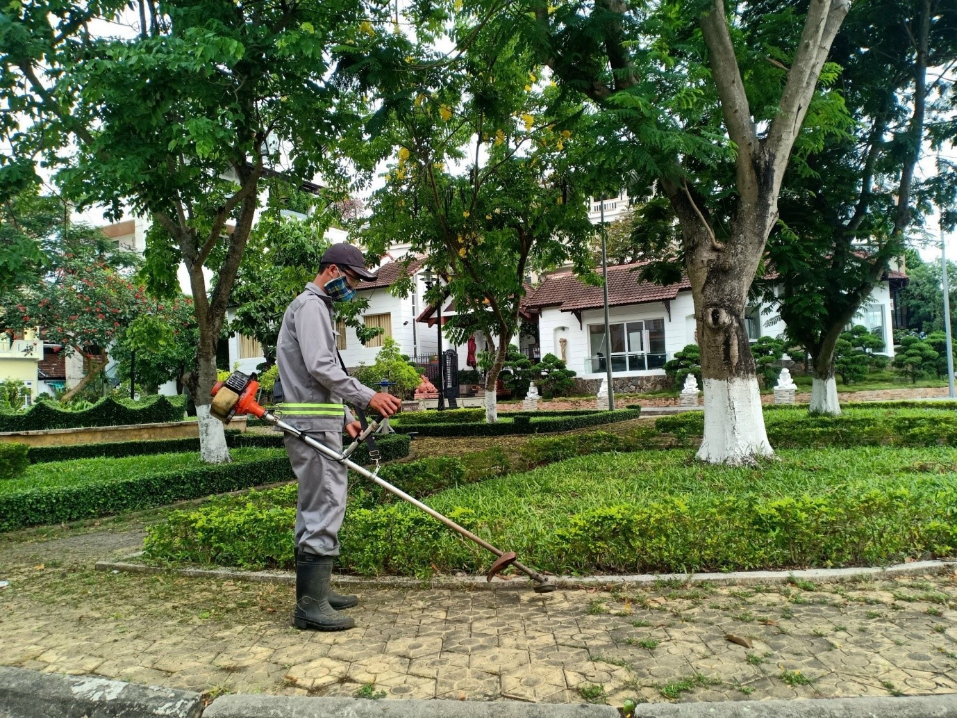 Chăm sóc cây xanh tại Hà Nội hệ thủy sinh giúp cây luôn tươi tốt.