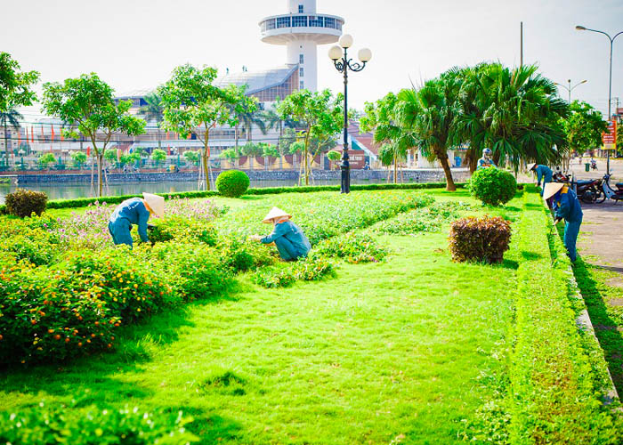 Dịch vụ bảo dưỡng cảnh quan định kỳ