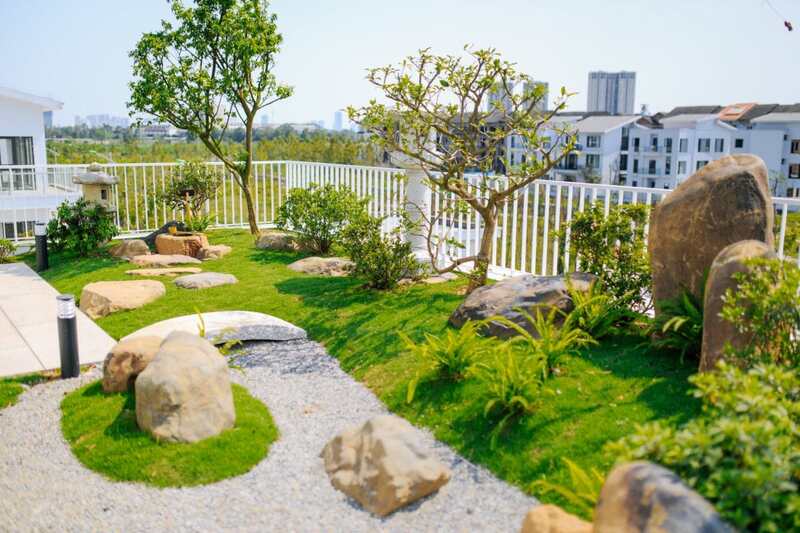 Kết quả phục hồi cây xanh suy yếu tại Hà Nội từ trạng thái héo rũ sang xanh tốt.