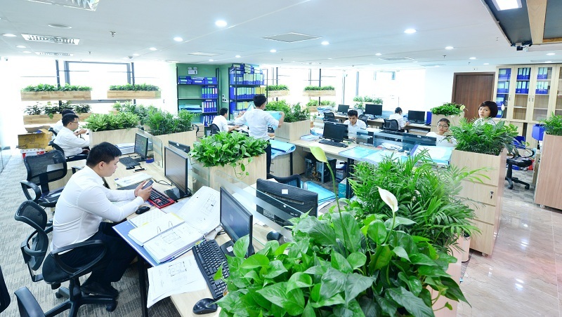 Dịch vụ cho thuê cây văn phòng chuyên nghiệp 