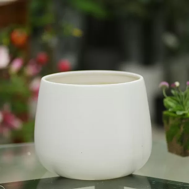 Chậu Sứ Để Bàn Hạt dẻ