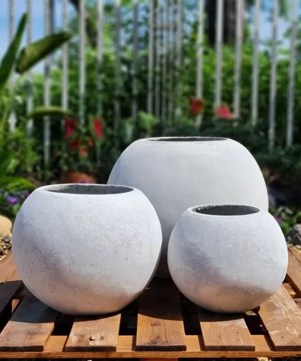 Chậu bê tông để sàn