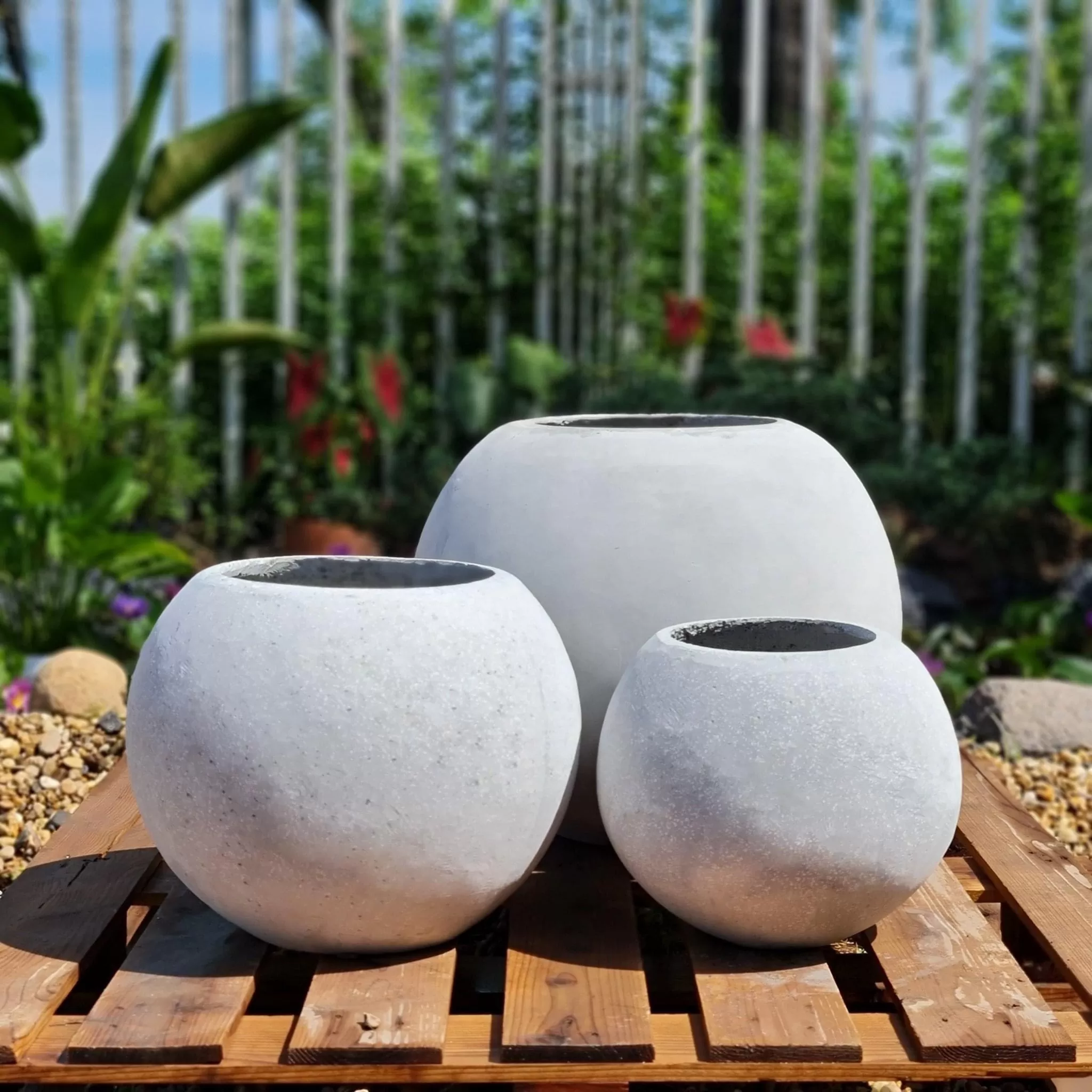 Chậu bê tông để sàn