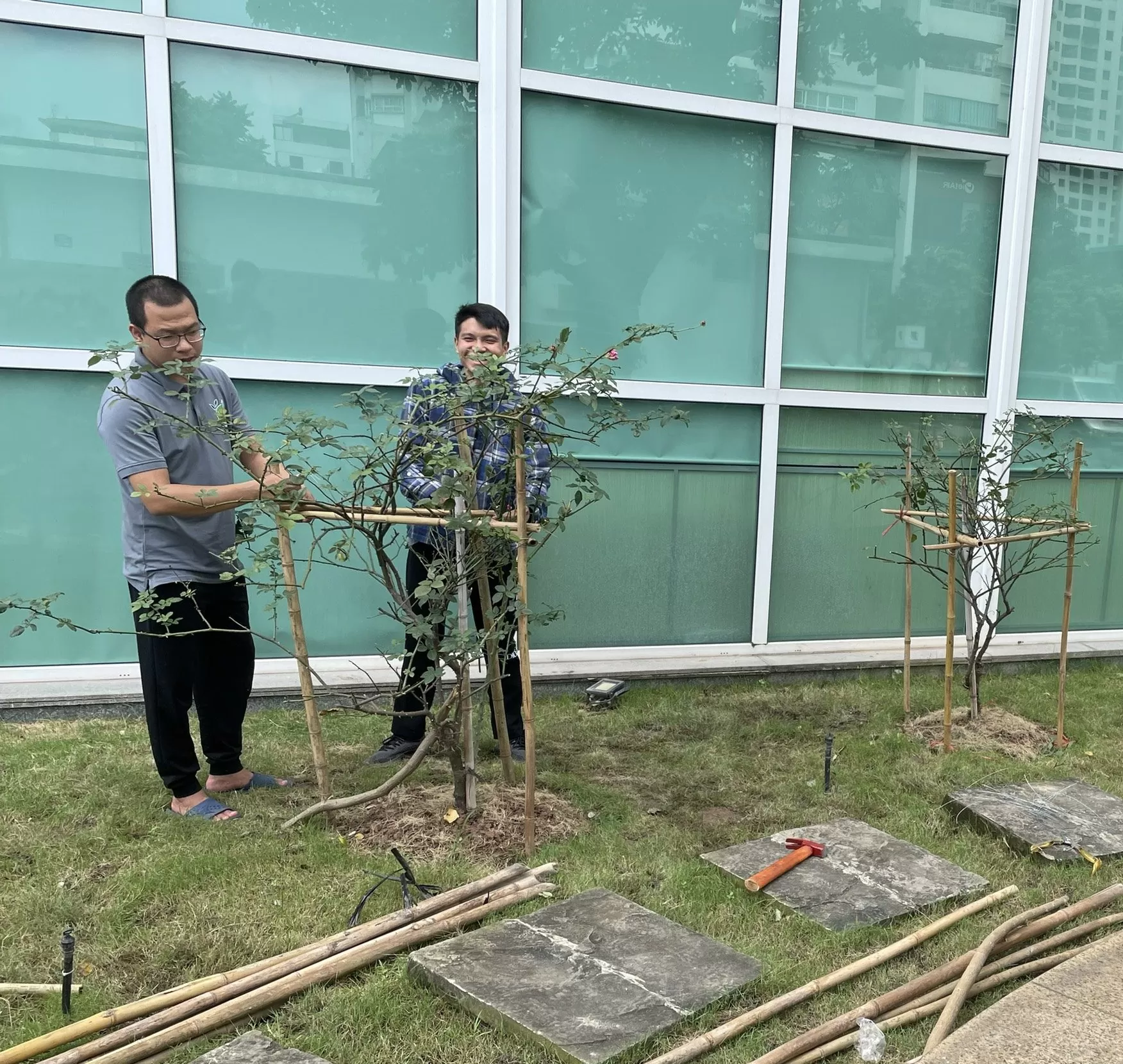 Cảnh Quan Trịnh Thập – đơn vị cắt tỉa cây xanh tại Hà Nội uy tín