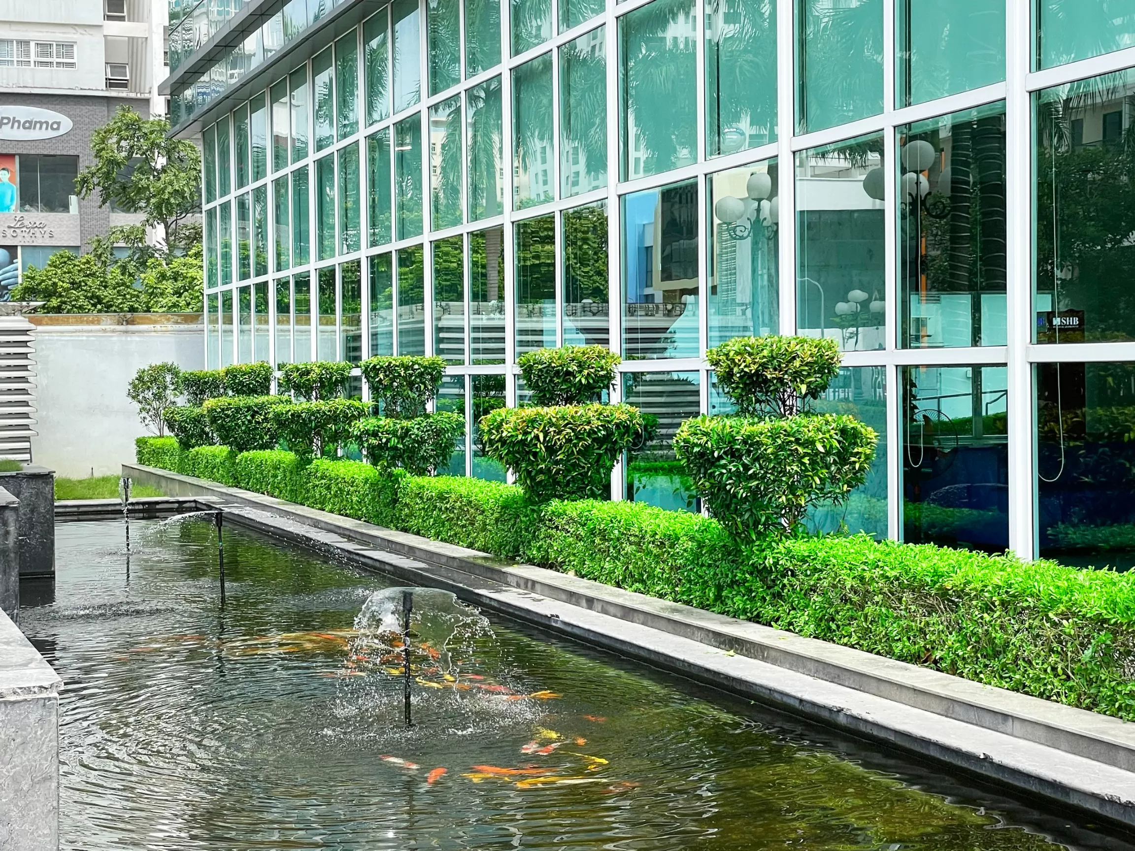 Chăm sóc cây bảo dưỡng cảnh quan tại Hà Nội