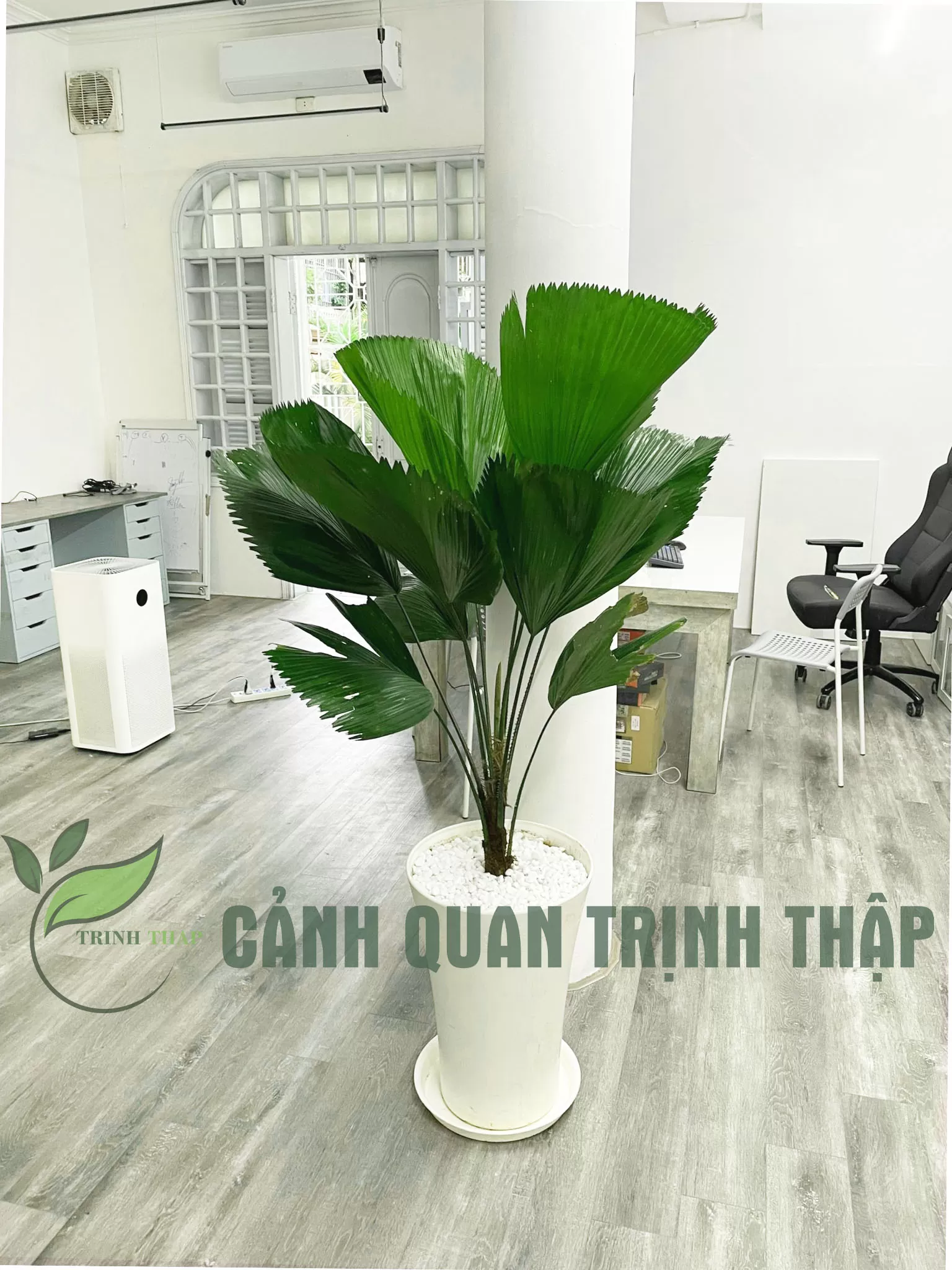 Kè nhật
